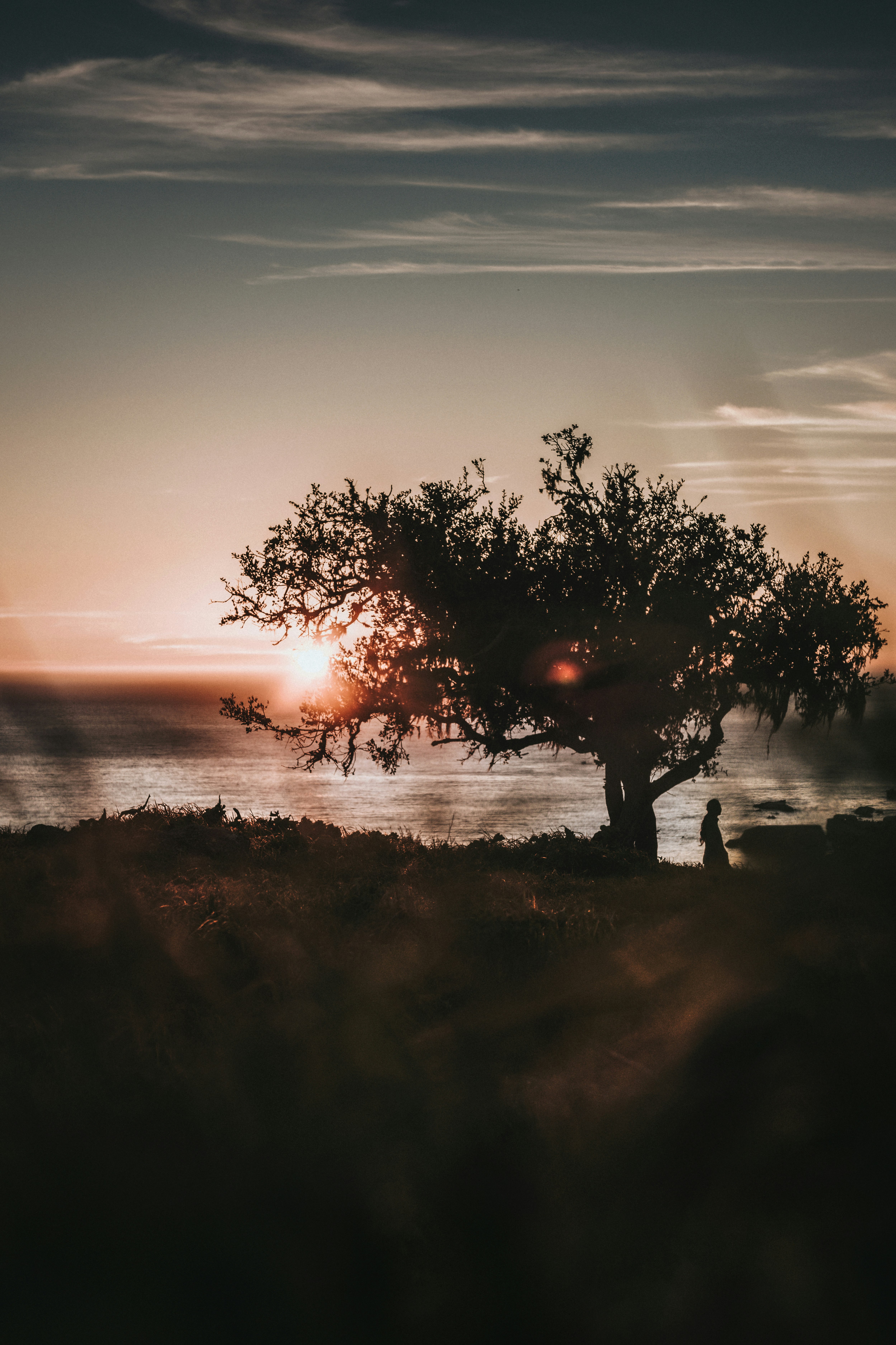 silhouette of person standing on grass field during sunset